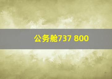 公务舱737 800